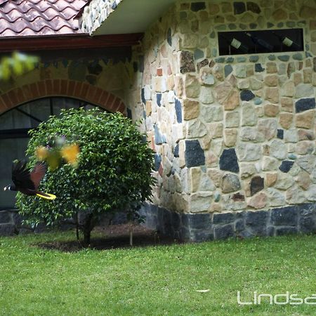 Gingerbread Restaurant&Hotel Nuevo Arenal Exterior foto